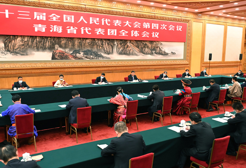 3月7日，中共中央總書記、國家主席、中央軍委主席習(xí)近平參加十三屆全國人大四次會(huì)議青海代表團(tuán)的審議。新華社記者 李濤 攝